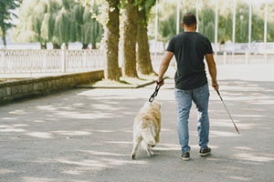 Agora é Lei: Cães-guia terão acesso garantido em veículos de transporte individual