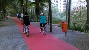 Câmara regulamenta uso de bicicletas elétricas no Rio