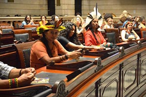 Câmara do Rio recebe representantes dos povos originários em debate público sobre educação indígena